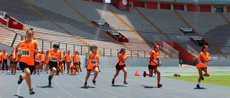 Postulantes a Educación Física rindieron exigente prueba en Estadio Nacional